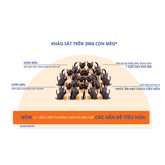 Hạt Cho Mèo Max Well Giàu Xơ Giảm Nôn Trớ (Nhật Bản)